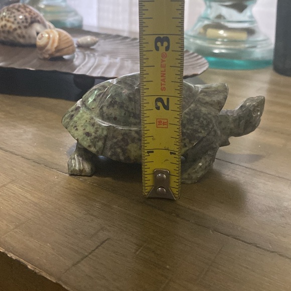 Fruit serpentine turtle. - Picture 6 of 7